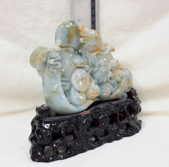 Rare multiple color jade Dragon with (Ruyi) means wishes fulfilled