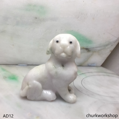 Pale lavender jade dog