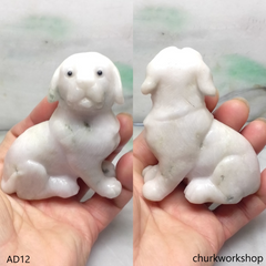 Pale lavender jade dog