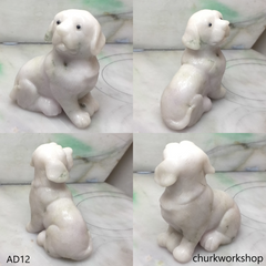 Pale lavender jade dog