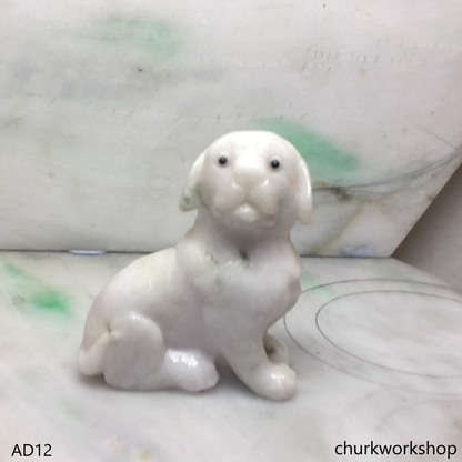 Pale lavender jade dog