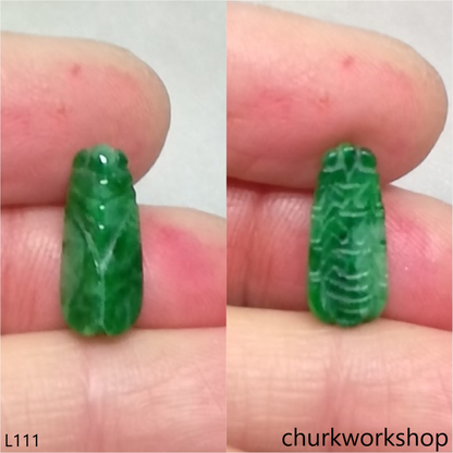 Small green jade cicada